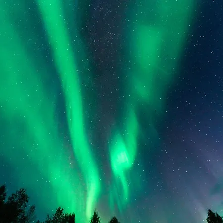 Aurora Norva